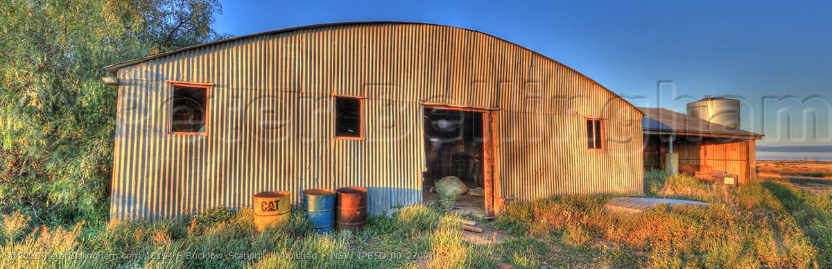 Peter Bellingham Photography Bucklow Station - Woolshed - NSW (PB5D 00 2709)